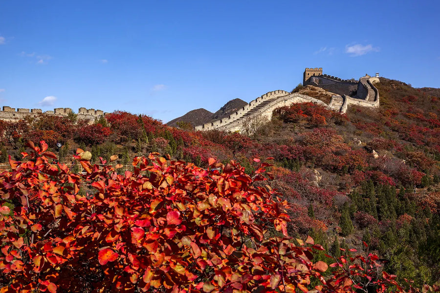 2026!5/6-Day In-depth Tour of Imperial Beijing tour image