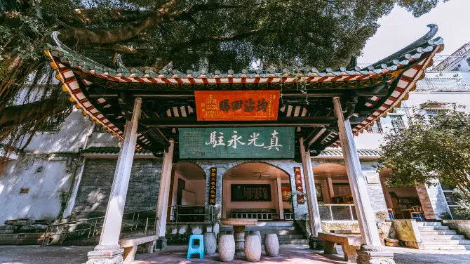 "Exclusive Guangzhou" 4D3N Tour: Sacred Light Tower, Guangzhou Museum, Pearl River Night Views, Lychee Bay Canal