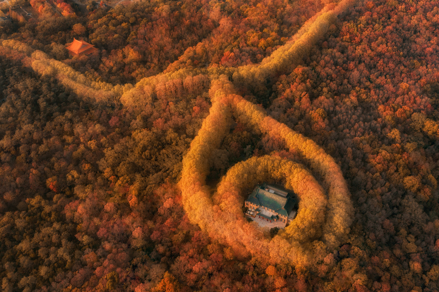 Luxury Jiangnan Crab Feast · Sheshan Quarry Hotel · Xuanwu Lake Ginkgo · Zen Retreat in Nianhuawan · Maple Views at Tianping Mountain · 6 Days