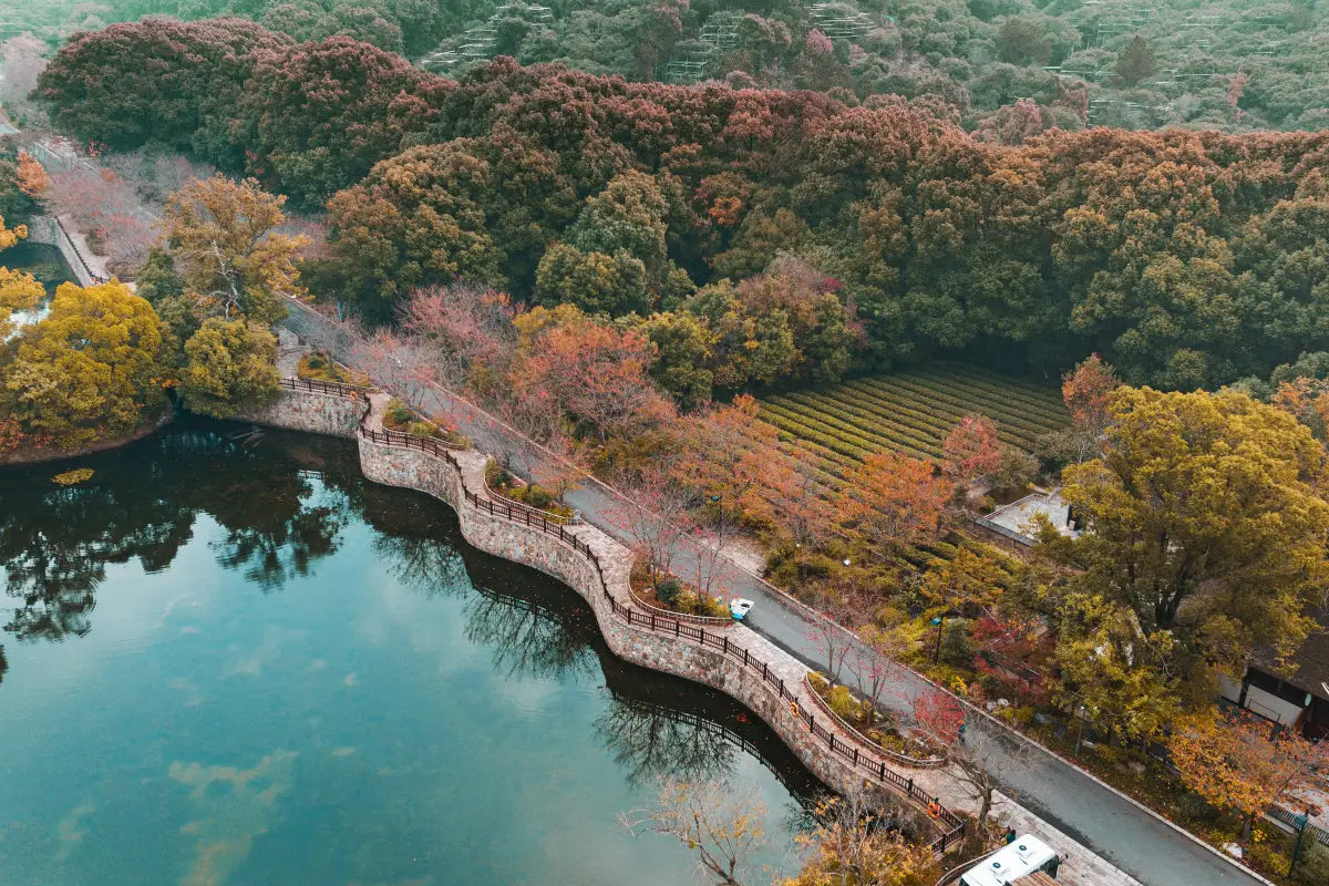 【奢惠江南】六朝古都、无锡拈花湾、水乡乌镇、苏州园林、西湖美景7日