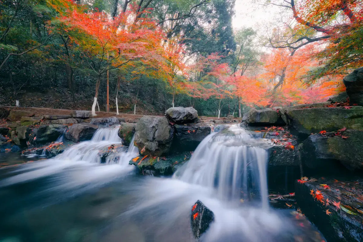 Exclusive Muslim-Friendly Tour · Wuzhen · West Lake Cruise · Nianhuawan · Bund 7 Days