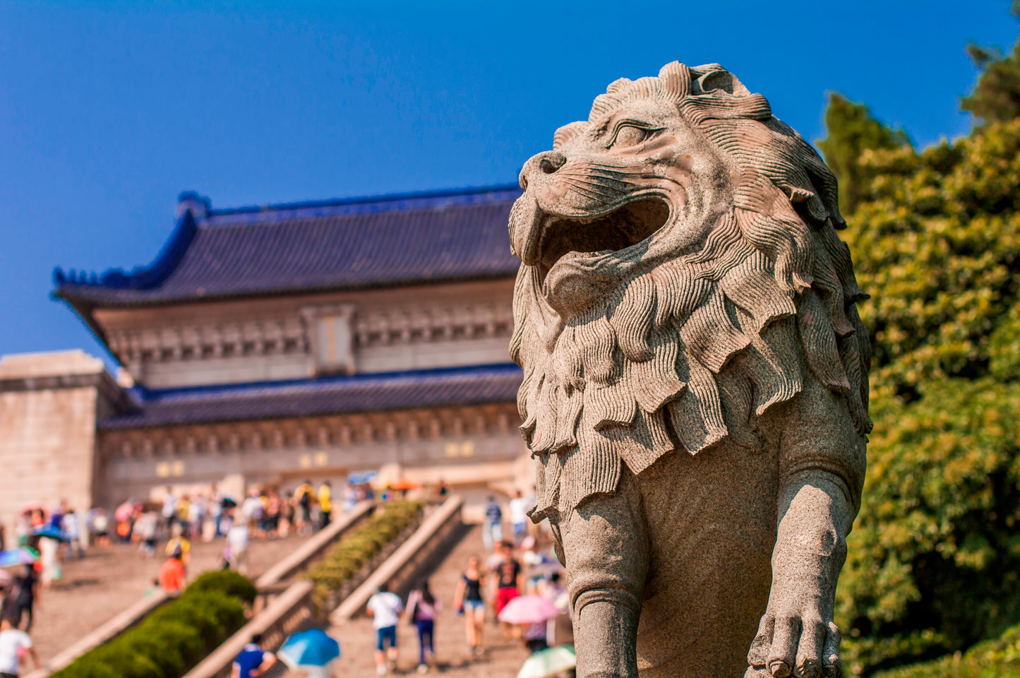 【臻选江南】乌镇东栅、西湖游船、灵隐寺飞来峰、拈花湾禅意、无锡三国城8日