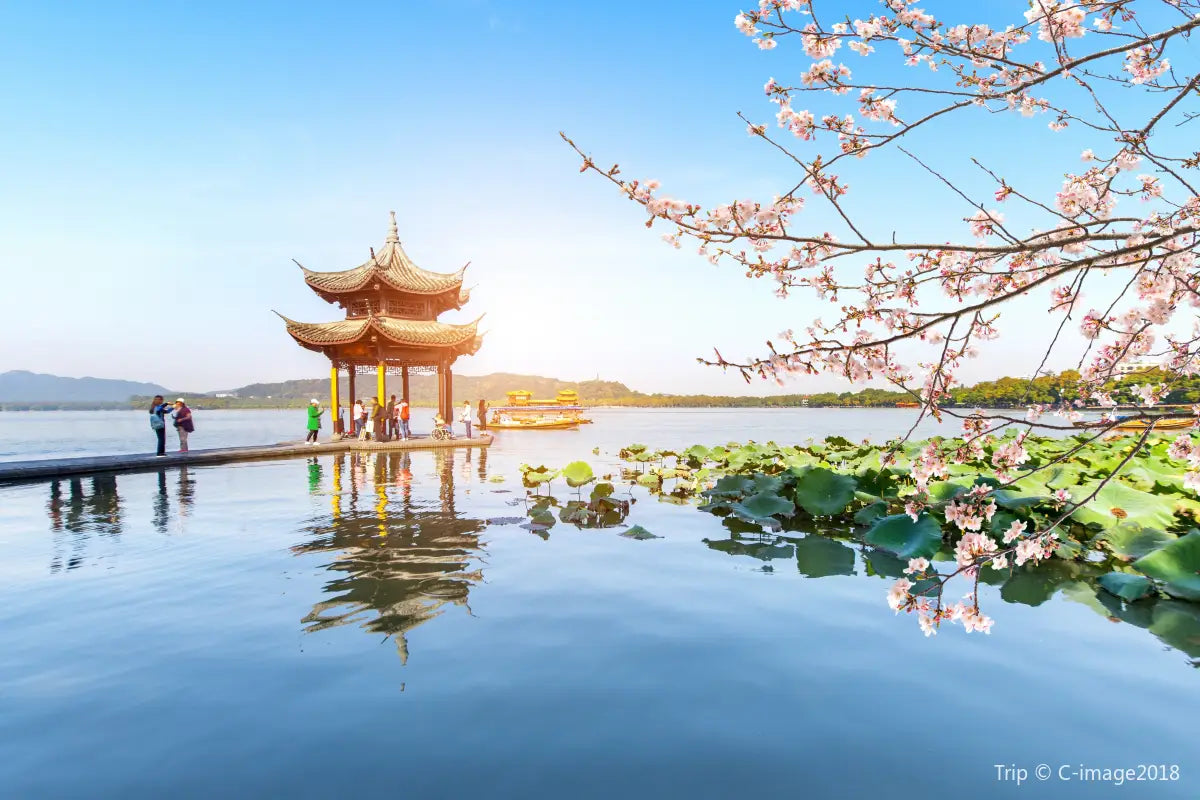 【无购物·慢享江南】沪杭苏城市人文8天7晚深度游——老街古镇·网红街区·江南夜景