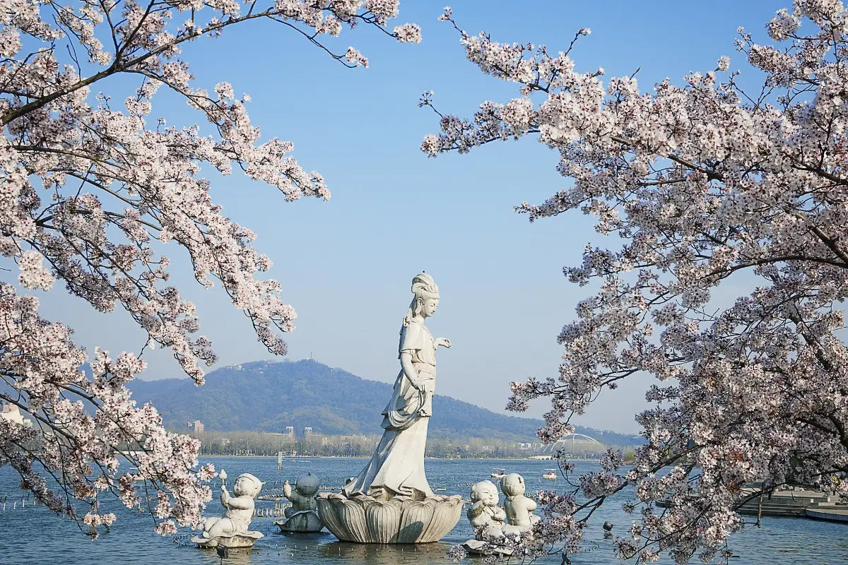 Luxury Jiangnan Crab Feast · Sheshan Quarry Hotel · Xuanwu Lake Ginkgo · Zen Retreat in Nianhuawan · Maple Views at Tianping Mountain · 6 Days