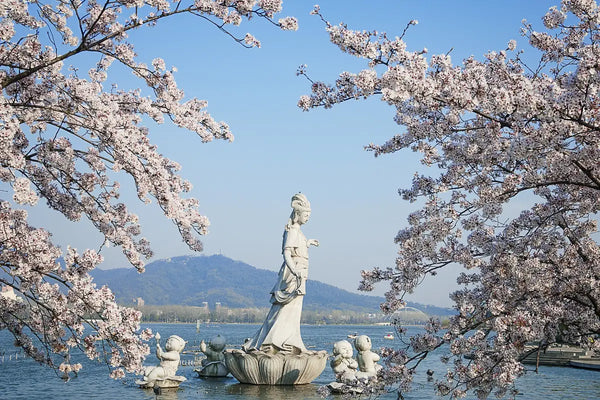 Rose Chu review image