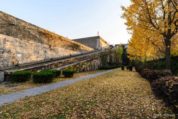 Tongmei Wu review image