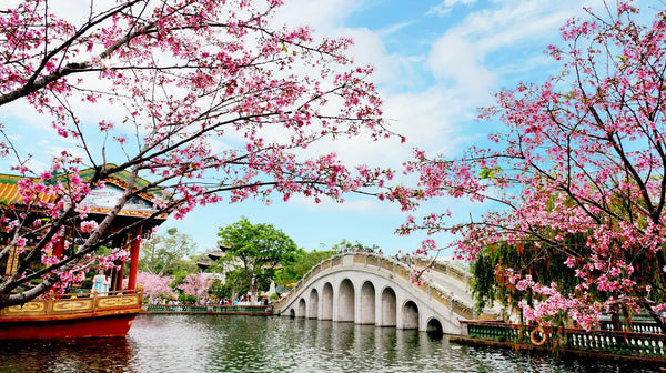 2026!8 Days & 7 Nights of Chaoshan Cuisine in the Pearl River Delta