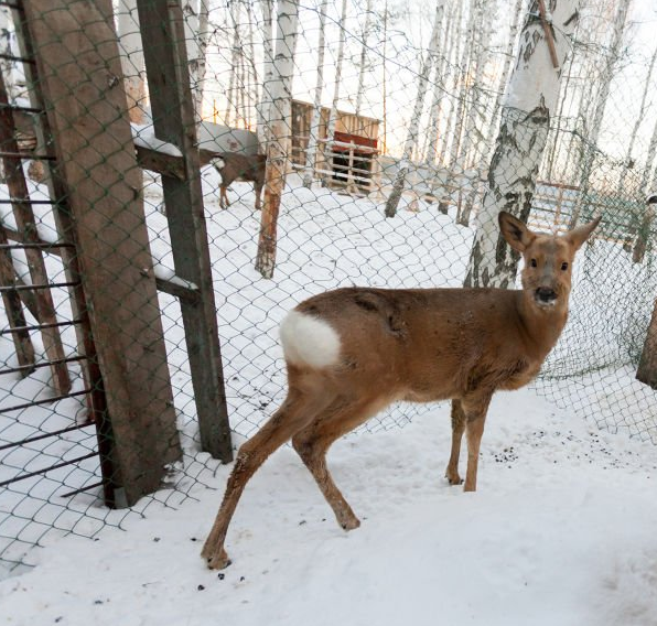 2026!16 days and 15 nights of magnificent scenery in northern and southern Xinjiang