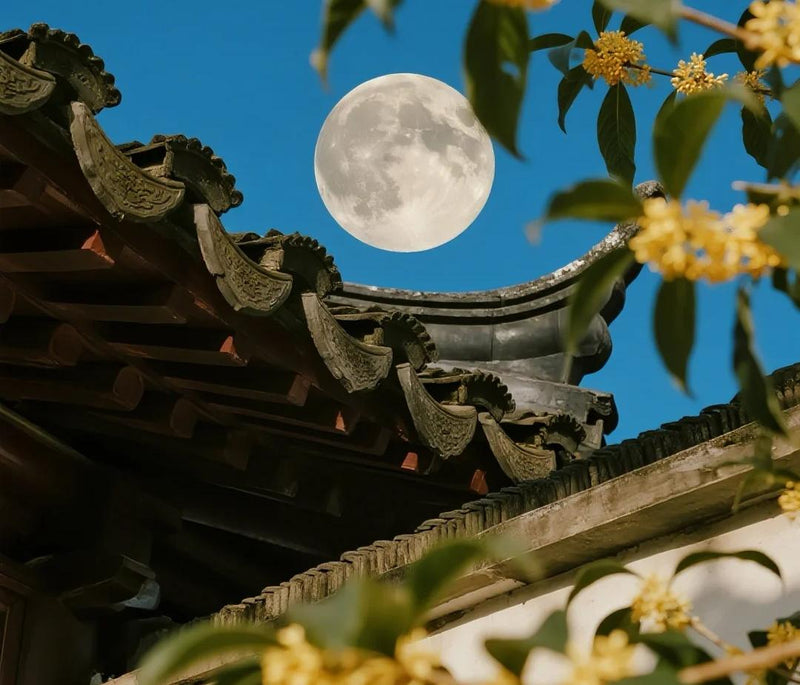 The Mid-Autumn Festival in China: Reunion Wrapped in Moonlight