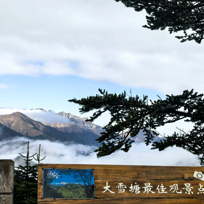 Xiling Snow Mountain: The Beauty of Snow, A Tranquil Haven for the Soul