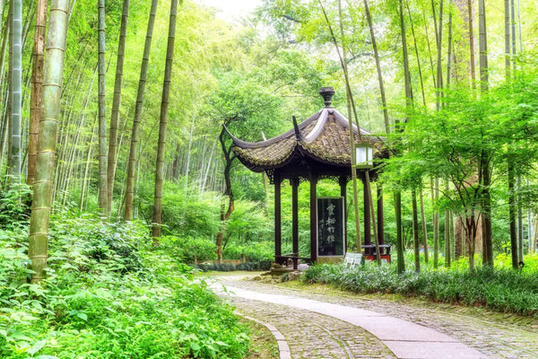 Yunqi Bamboo Path 