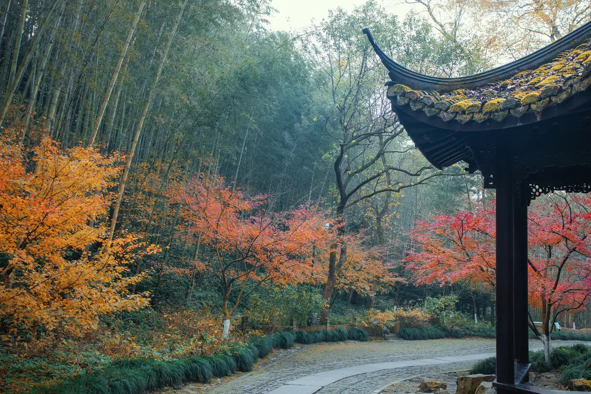 [No Shopping · Leisurely Jiangnan] 8-Day 7-Night In-Depth Cultural Tour of Shanghai, Hangzhou, and Suzhou — Old Streets & Ancient Towns · Trendy Neighborhoods · Jiangnan Nightscapes