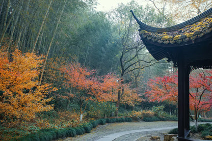 [No Shopping · Leisurely Jiangnan] 8-Day 7-Night In-Depth Cultural Tour of Shanghai, Hangzhou, and Suzhou — Old Streets & Ancient Towns · Trendy Neighborhoods · Jiangnan Nightscapes