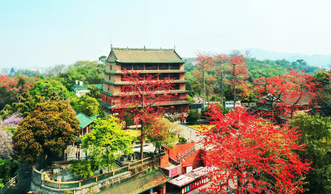 "Premium Guangdong" Halal-Friendly Tour: Foshan Ancestral Temple, Lion Dance, Qinghui Garden, Fengjian Water Village 4D3N