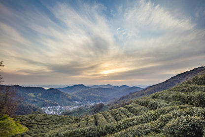[Leisurely Jiangnan] 7-Day Tour: West Lake Boat Ride · Wuzhen East Scenic Zone · Three Kingdoms City · Venice Food Street · Shanghai Urban Entertainment