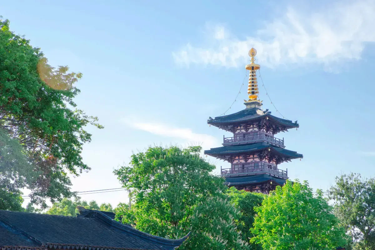[Exquisite Jiangnan] 8-Day Tour: Wuzhen East Scenic Zone · West Lake Boat Ride · Feilai Peak at Lingyin Temple · Nianhua Bay Zen Retreat · Wuxi Three Kingdoms City