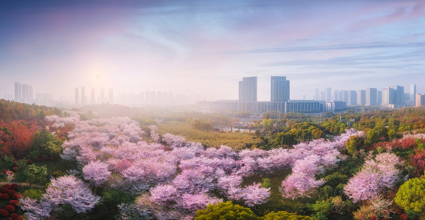"Luxury Jiangnan Autumn Escape · Maples & Crab Feast · Song Dynasty Charm at West Lake · Night Stroll in Wuzhen · 6 Days with Peace Hotel Stay"