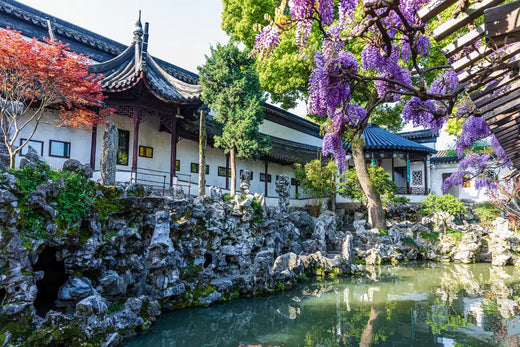 Lion Grove Garden