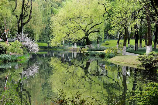 Liulang Wenying Park 