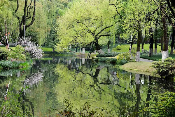 Liulang Wenying Park 