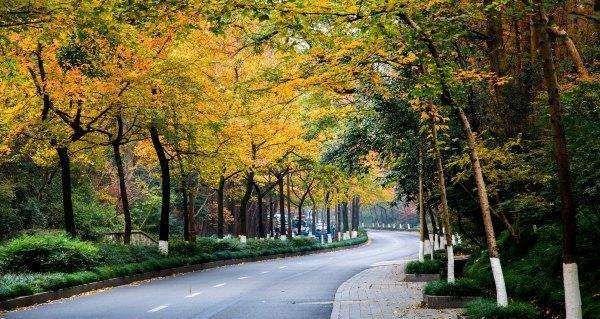 Manlong Guiyu Greenway 