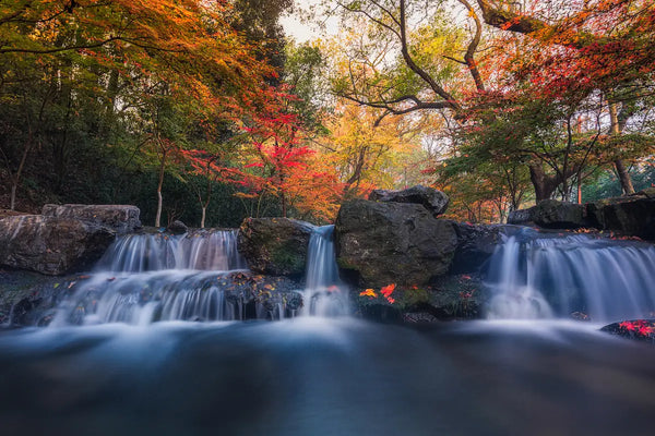 Nine Creeks Meandering 