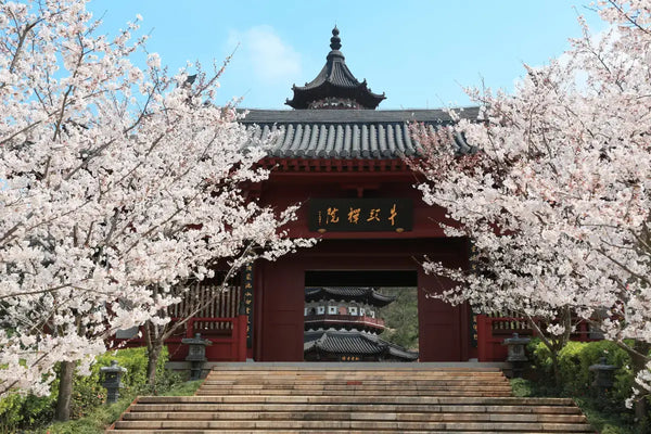 [Premium Jiangnan · Maritime Holiday] 12-Day Tour: Jiangnan Cultural Exploration + Japan-Korea Dual-Country Cruise — Niushou Mountain Buddha Palace · Nianhua Bay Zen Retreat · West Lake Scenic Views · Wuzhen Water Town · Jeju & Fukuoka Cruise Experience