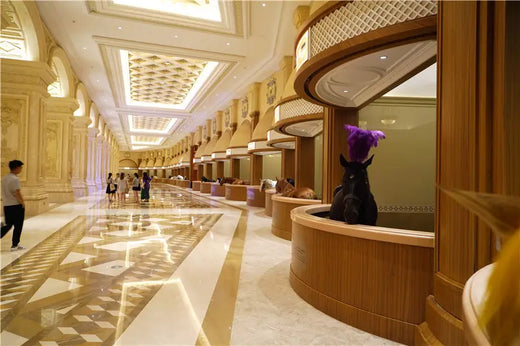 Pegasus Water City (World Famous Horse Museum & Venice Food Street)