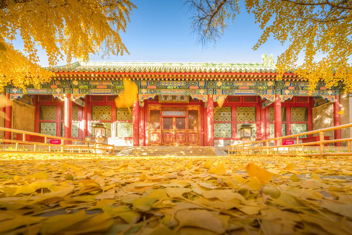 5-Day In-Depth Tour of Beijing's Classic Landmarks