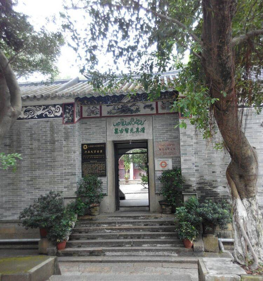 Qingzhen Xianxian Ancient Tomb