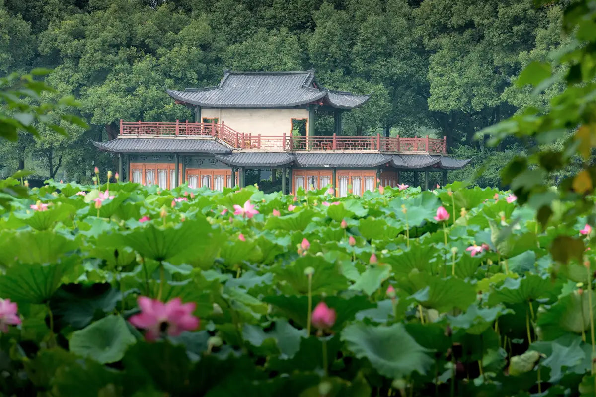 [Premium Jiangnan] 9-Day Tour: Puyuan Fashionable Ancient Town · West Lake Boat Ride · Lingshun God of Wealth Temple · Tianping Mountain Autumn Foliage · Nianhua Bay Zen Retreat