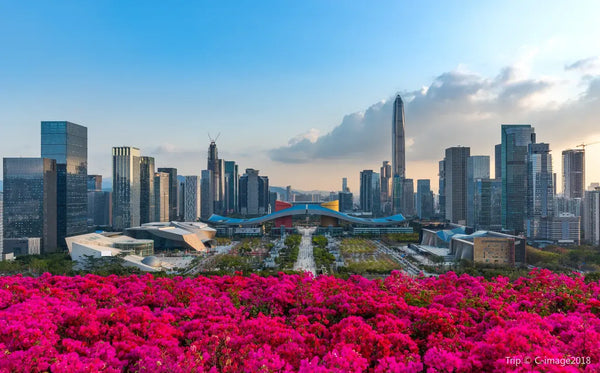 Shenzhen Lianhuashan Park