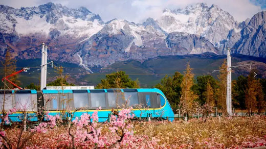 Snow Mountain Sightseeing Train
