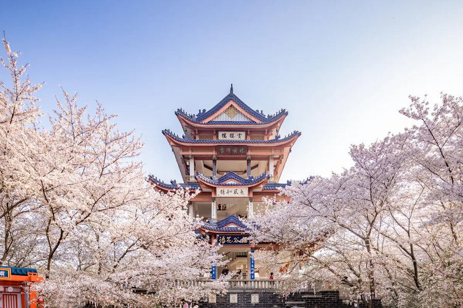 Wuxi destination