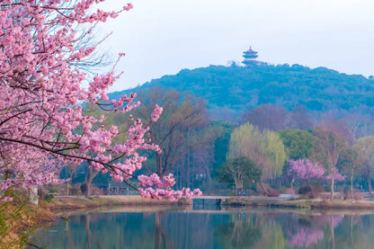[Premium Jiangnan] 6-Day Tour: Shanghai Bund · Puyuan Fashionable Ancient Town · Misty Xitang · Hangzhou Tea Garden Photoshoot · Suzhou Lion Grove Garden