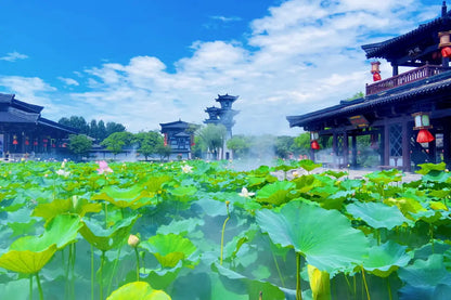 [Leisurely Jiangnan] 7-Day Tour: West Lake Boat Ride · Wuzhen East Scenic Zone · Three Kingdoms City · Venice Food Street · Shanghai Urban Entertainment