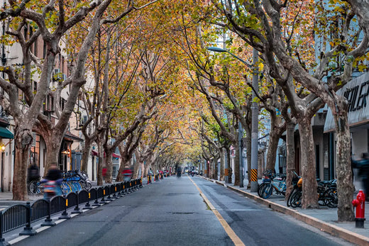 Wukang Road