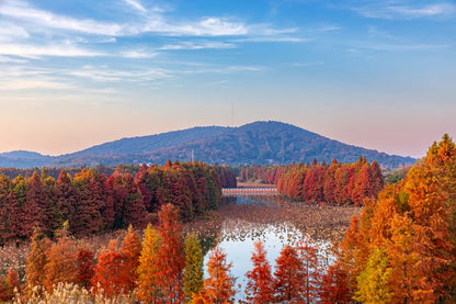 [Premium Jiangnan] 8-Day Tour: Shanghai Bund · Puyuan Fashionable Ancient Town · Misty Xitang · West Lake Boat Ride · Lingshun God of Wealth Temple · Suzhou Tianping Mountain