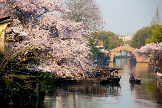 Xitang Ancient Town