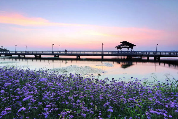 Yangcheng Lake Peninsula