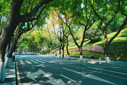 5 Days to Experience the Magical 5D Chongqing A perfectly tailored, healing journey through the mountain city!