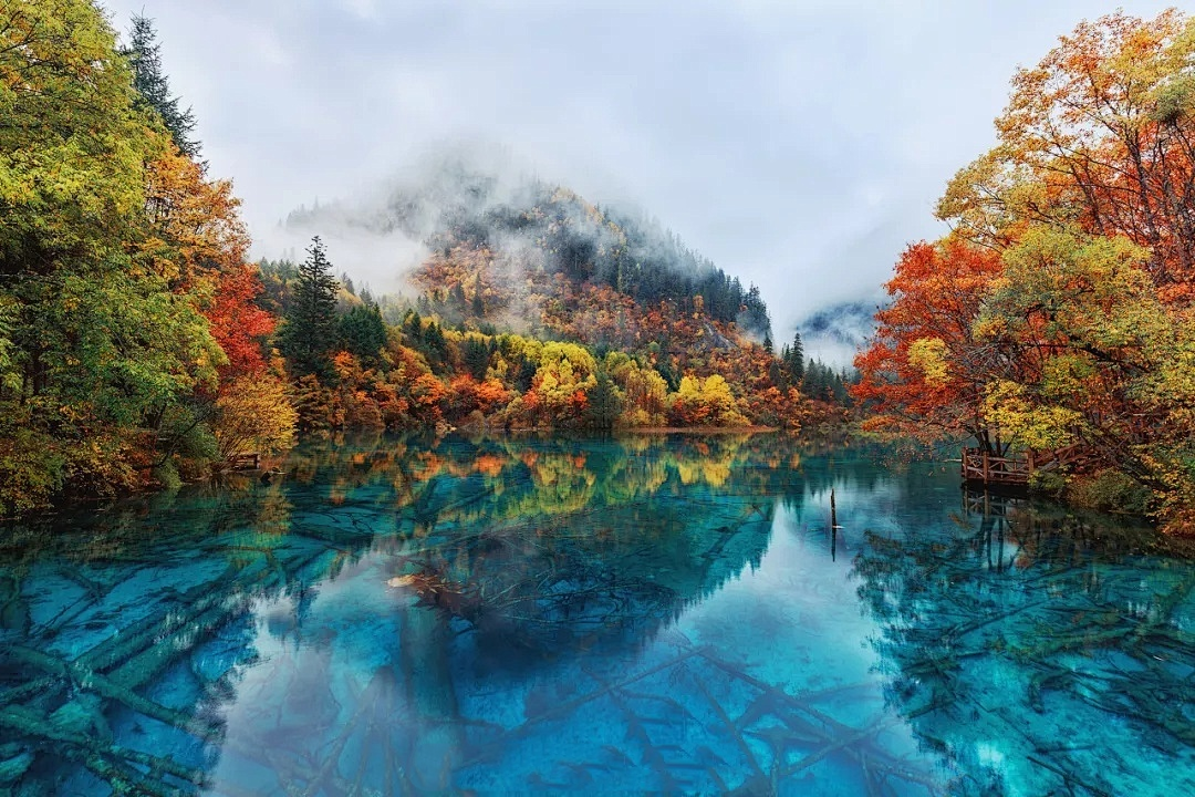 2026! Explore Chengdu & Chongqing • 6 Days 5 Nights Relaxing Tour