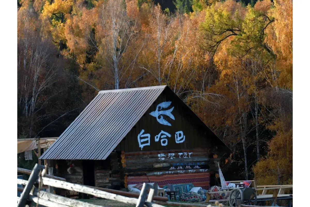 2026！16 days and 15 nights of magnificent scenery in northern and southern Xinjiang