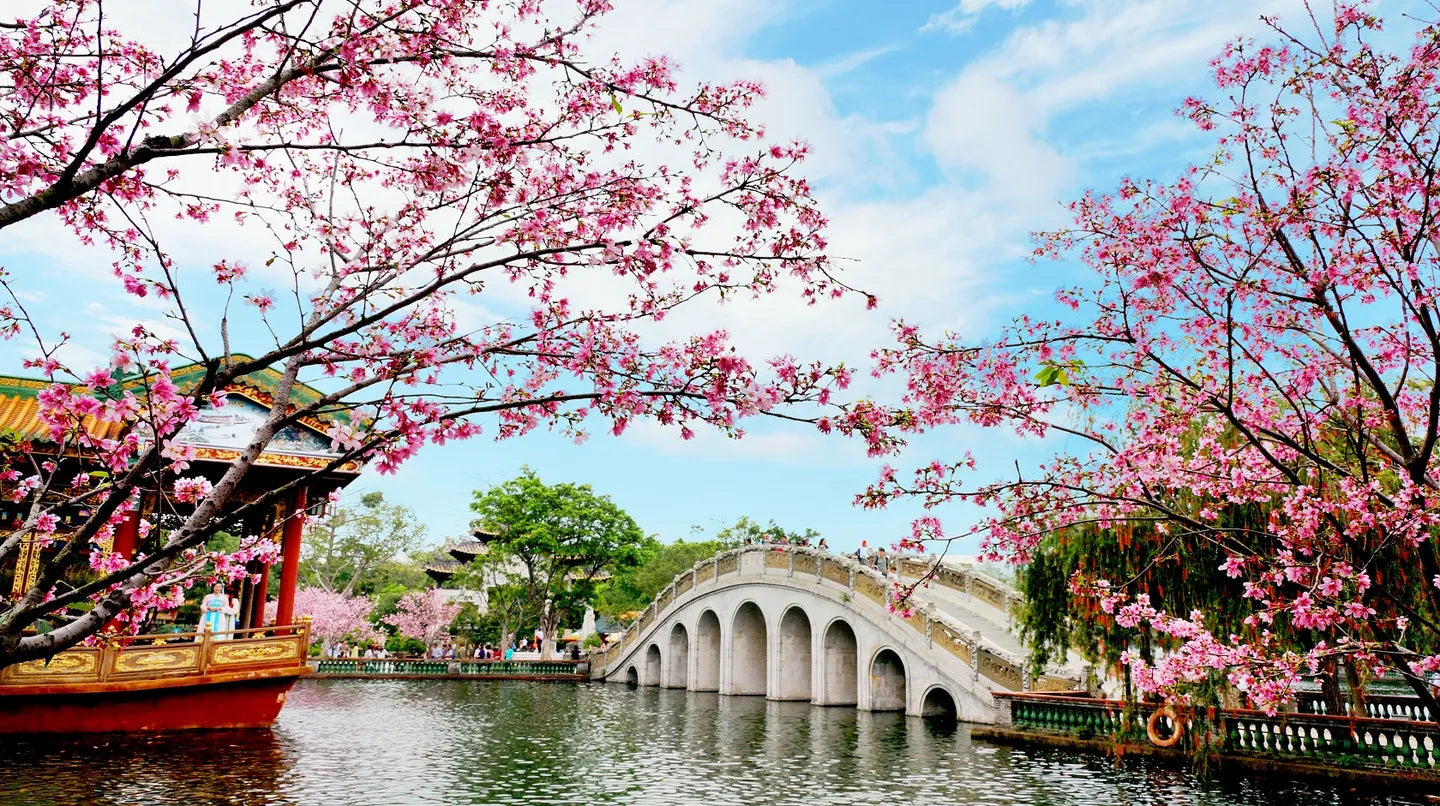 2026！8 Days & 7 Nights of Chaoshan Cuisine in the Pearl River Delta